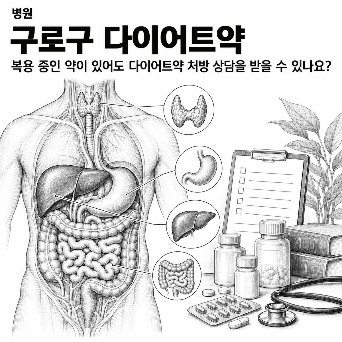 서울 병원 구로구 다이어트약 핵심 정보 이미지