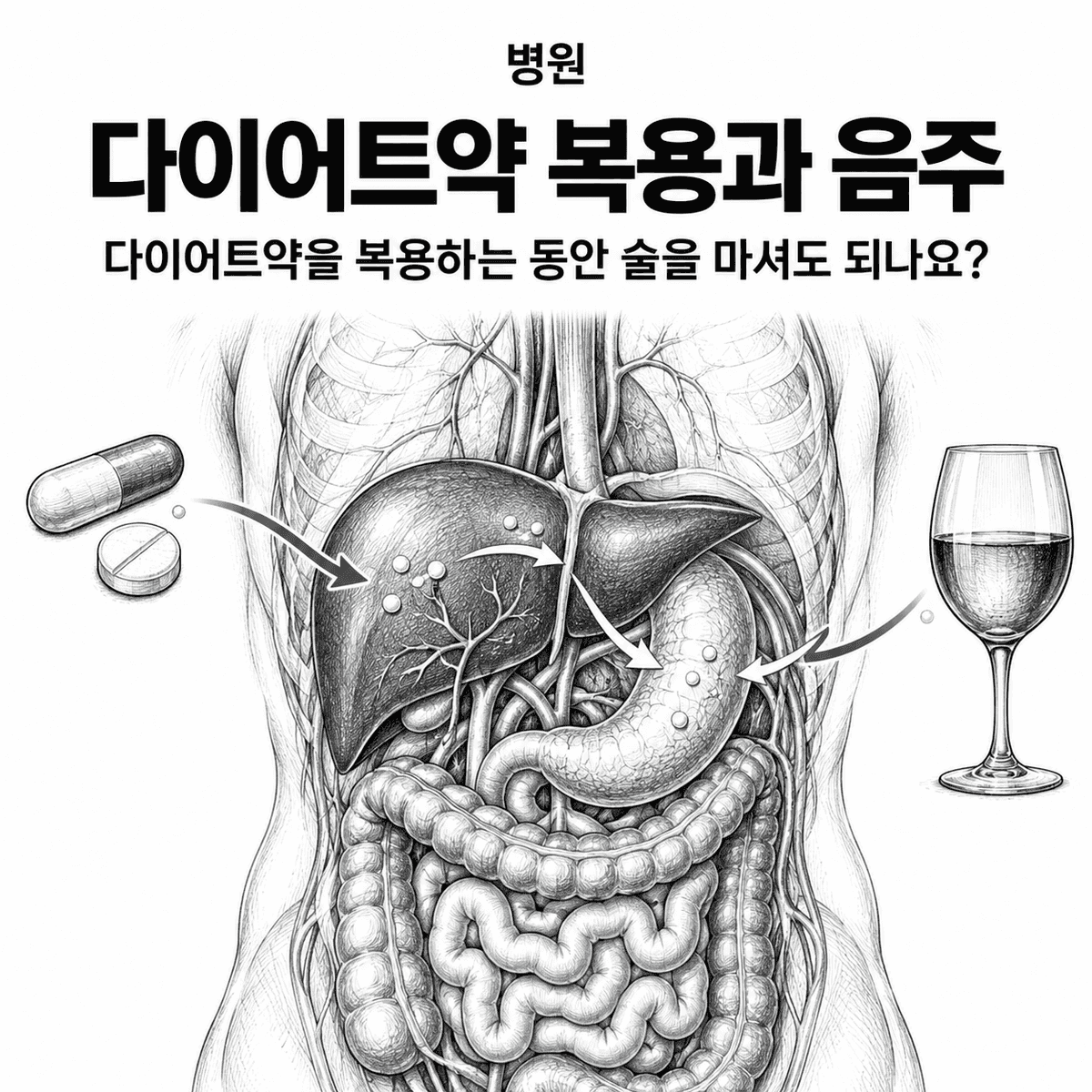 서울 병원 다이어트약 복용과 음주 핵심 정보 이미지